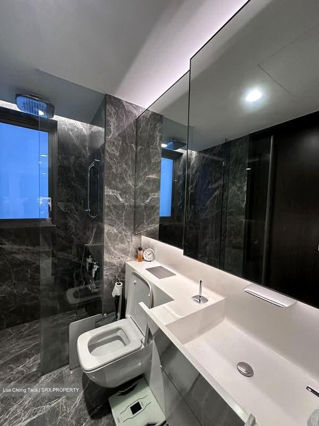 Cairnhill Nine (D9), Apartment #631608101